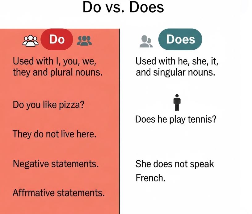 Do VS Does Rules Examples Comparison Chart Exercises Do VS Does Rules Examples Comparison Chart Exercises
