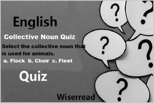 Collective Noun Quiz