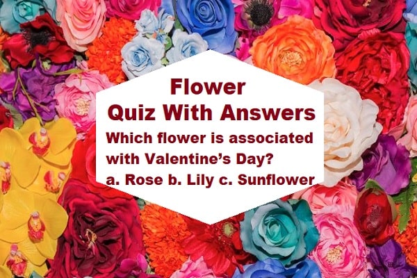 Flower Quiz