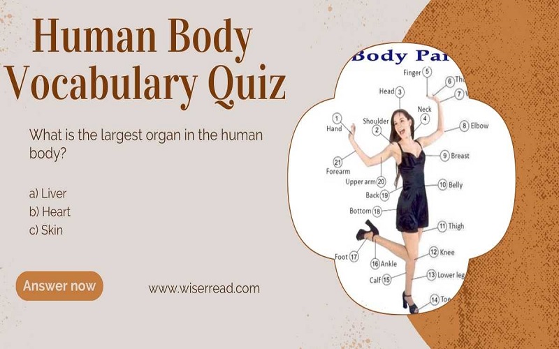 Human Body Vocabulary Quiz