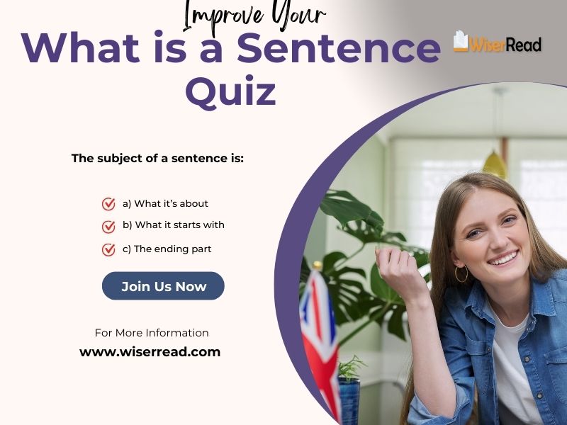 What is a Sentence Quiz