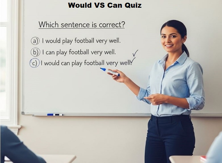 Would or Can quiz